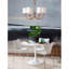 Coastal Luxe 6-Light Chandelier