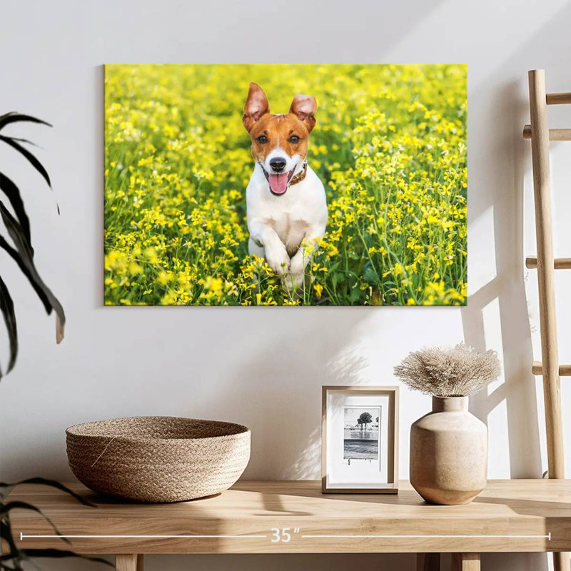 Happy Jack Russell, 16" H x 24" W