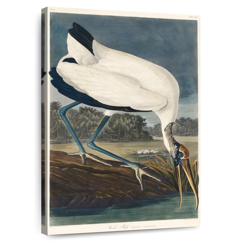 Brampt Wood Ibis, 39" H x 26" W