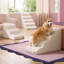 Rampe d'escalier pour chien et chat Lesure-120993394-121119315