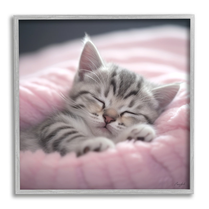 «Soft Kitten Tucked In» par Roozbeh, H 12 po x l 12 po x P 0,5 po