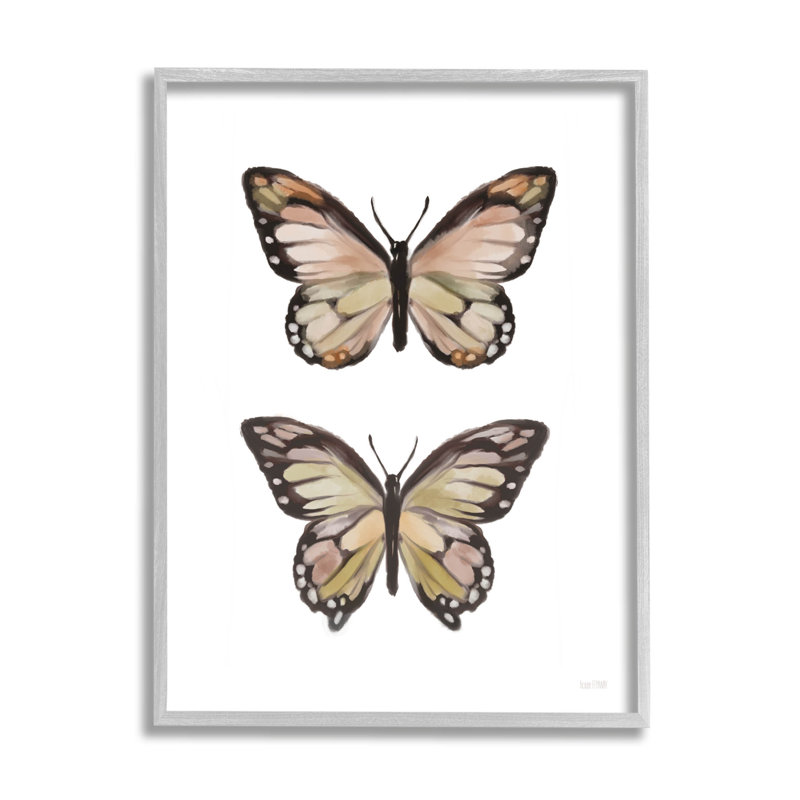 Ailes de papillon, insecte, art giclée par House Fenway, H 14 po x l 11 po x P 1,5 po, Cadre flottant gris lustré