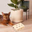 Fournitures pour jouets multifonctionnels-132604667