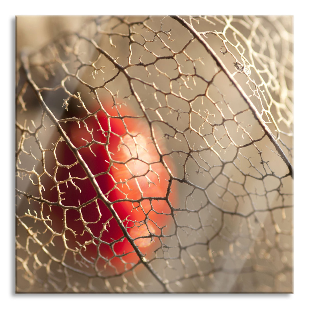 Glasbild Rote Physalis