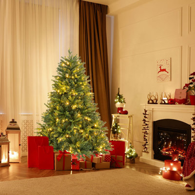 Lighted Christmas Tree