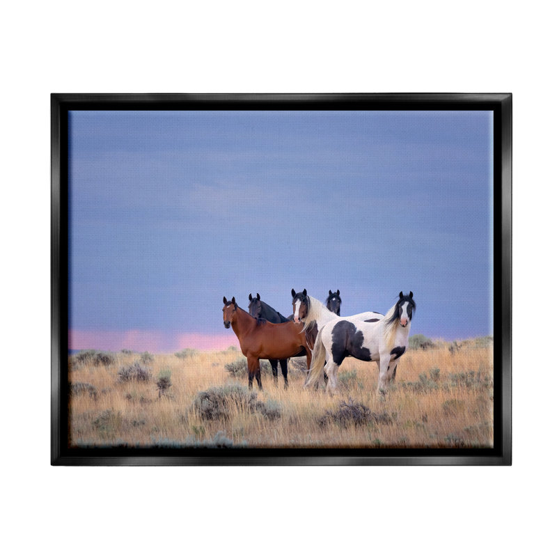 «Country Horses In Meadow», reproduction encadrée sur toile par PHBurchett, Cadre flottant noir de jais