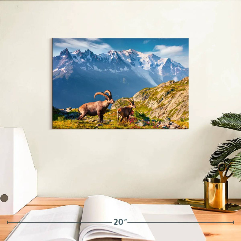 Bouquetin Alvord Mont Blanc, H 8 po x l 12 po