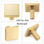 Lot de 10 boutons de meuble carrés en métal doré brossé, 2,86 cm (1-1/8 pouce), robustes, faciles à installer, prise en main confortable, poignées monotrou, pour tiroirs, commodes, meubles de salle de bain et placards.