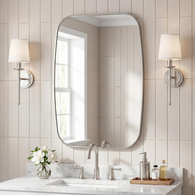 Cassian 24 in. W x 36 in. H Medium Capsule Oblong Oval Aluminum Alloy Framed Wall Mounted Mirror, Nickel