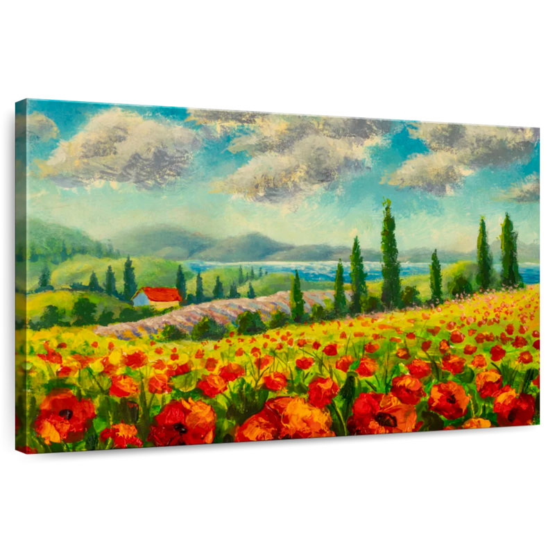 Champ de coquelicots Harnek, H 20 po x l 30 po