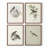 Vintage Animal Print X  Framed Print - Set of 4-115669298-115669303