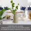 Éléments, branche artificielle de gingko, 25 po-117404755