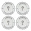 L'amour Toujours 4 - Piece Place Setting