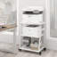 75cm H x 60cm W Printer Stand with Wheels
