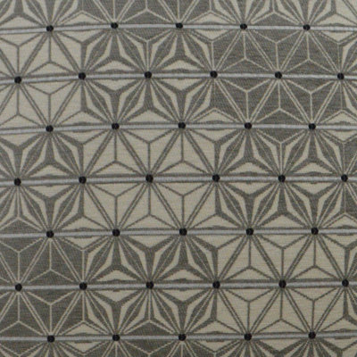 Neptune Fabric