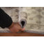 Tapis géométrique fait à la main Oushak 8 x 10