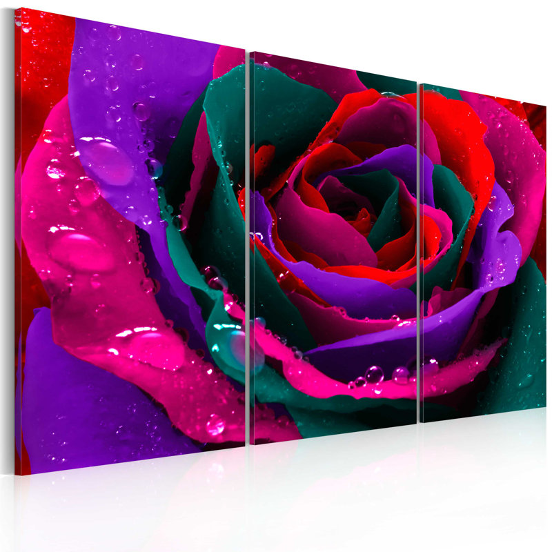 Rainbow-hued Rose - 3 Piece Wrapped Canvas Print, 80cm H x 120cm W x 1.4cm D