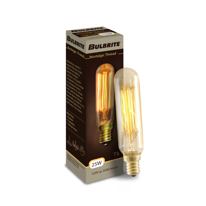 25 Watt, Antique T6 Incandescent, Dimmable Light Bulb, 2200K Base