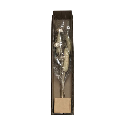 Branche de Luffa et tige d'amande