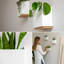 Metal Wall Planter-114314214-114314212
