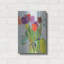 «Tulips And Two Cars» par Jessica Singerman-1668386756