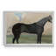 The Kicker, a Steel Grey - Cadre photo, reproduction d'art sur toile-1650740298-1650740310