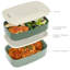 Boîtes à bento-60154936