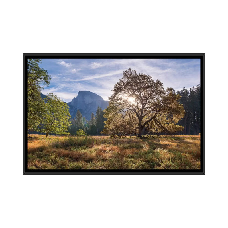 " Cook’s Meadow " by Adam Burton, 18" H x 26" W x 1.5" D, Black Framed Canvas, No Mat