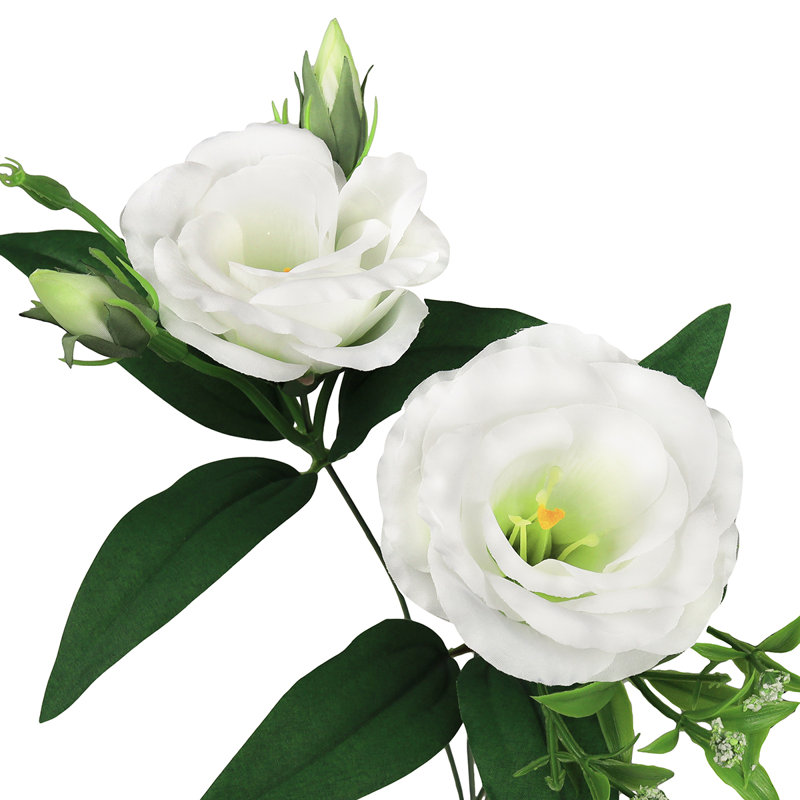 Lisianthus artificiel, Blanc