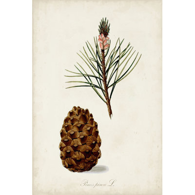 Étude d'arbre antique V - peinture sur toile tendue