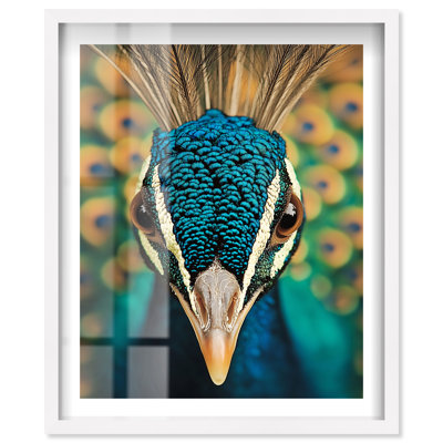 Fiery Peacock I Shadowbox Print Living Room Wall Art by Notoriart, Natural Oak Frame, 24 x 30