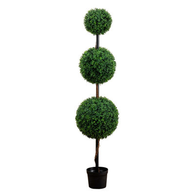 Topiaire de faux buis en pot