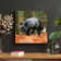 Loon Peak® Black Fox 1 On Canvas Painting | Wayfair