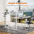 Marther Standing Desk-1941971793-1941971806