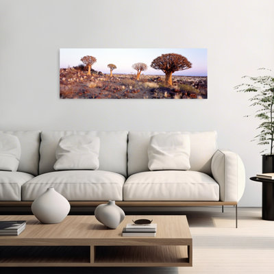 Quiver Trees