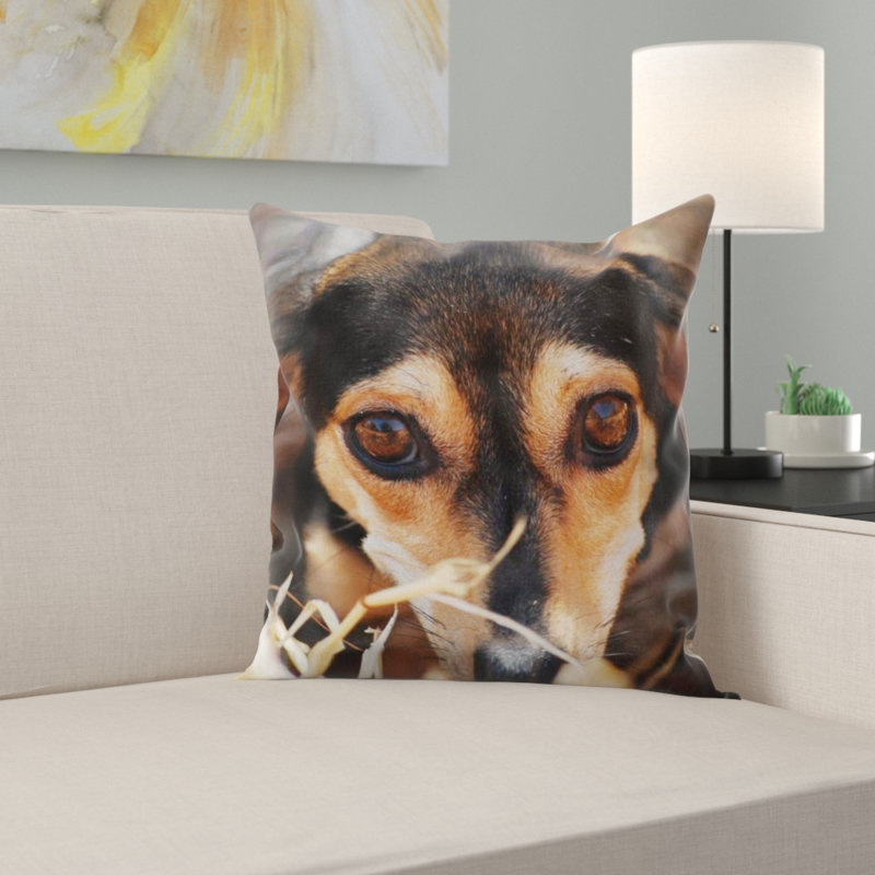 Coussin pour chien