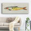 Impression sur toile, "Fantaisie de poisson I"-41546997