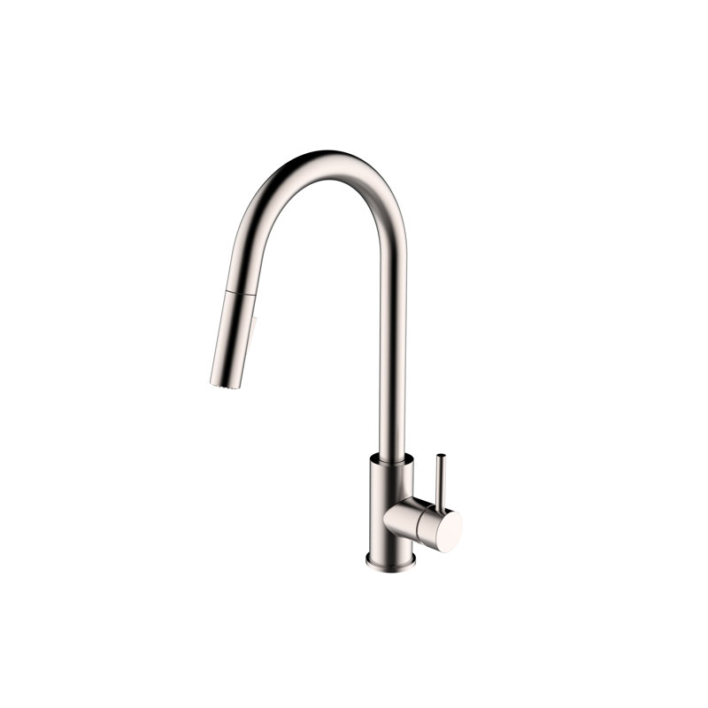 Robinet de cuisine à poignée simple avec accessoires Trova, Nickel brossé