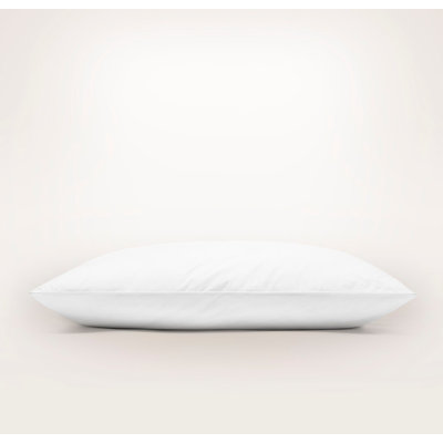 Down Pillow Insert
