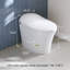 Toilette allongée sans réservoir Metis White