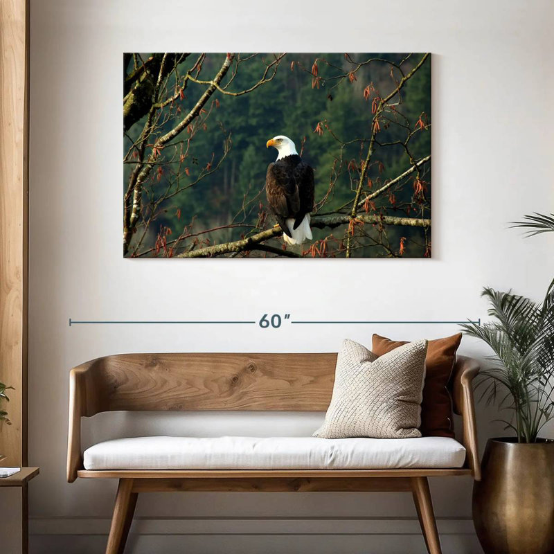Brampt Perched Canadian Bald Eagle, 30" H x 45" W