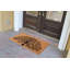 Tapis d'entrée antidérapant pour arbre de vie 48 po x 30 po Derun
