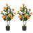 Vert / orange