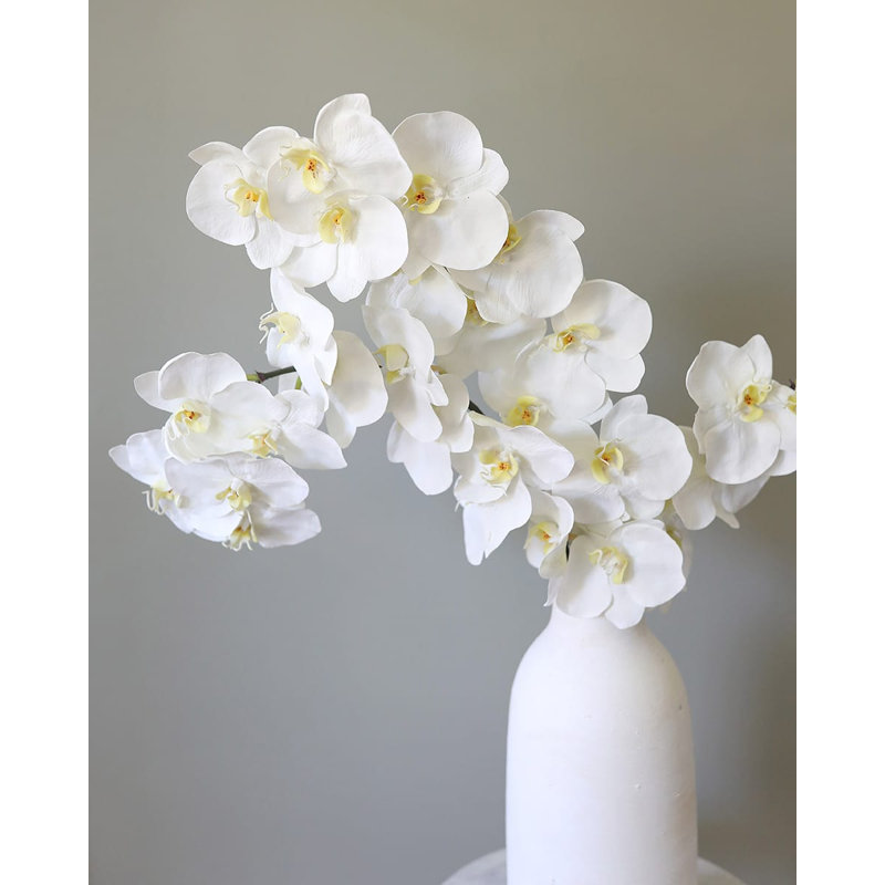 Green Phalaenopsis Orchid 33", White, 34" H x 3" W