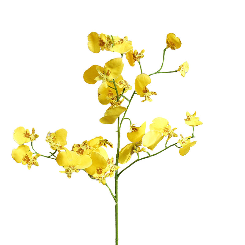 Orchid Arrangement, Yellow