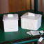 Lastra White Tea Canister