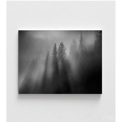 «Wintersun» par Andy Dauer, impression de photographie de forêt, décor de chalet rustique en bois noir et blanc, auberge de montagne au-dessus du foyer