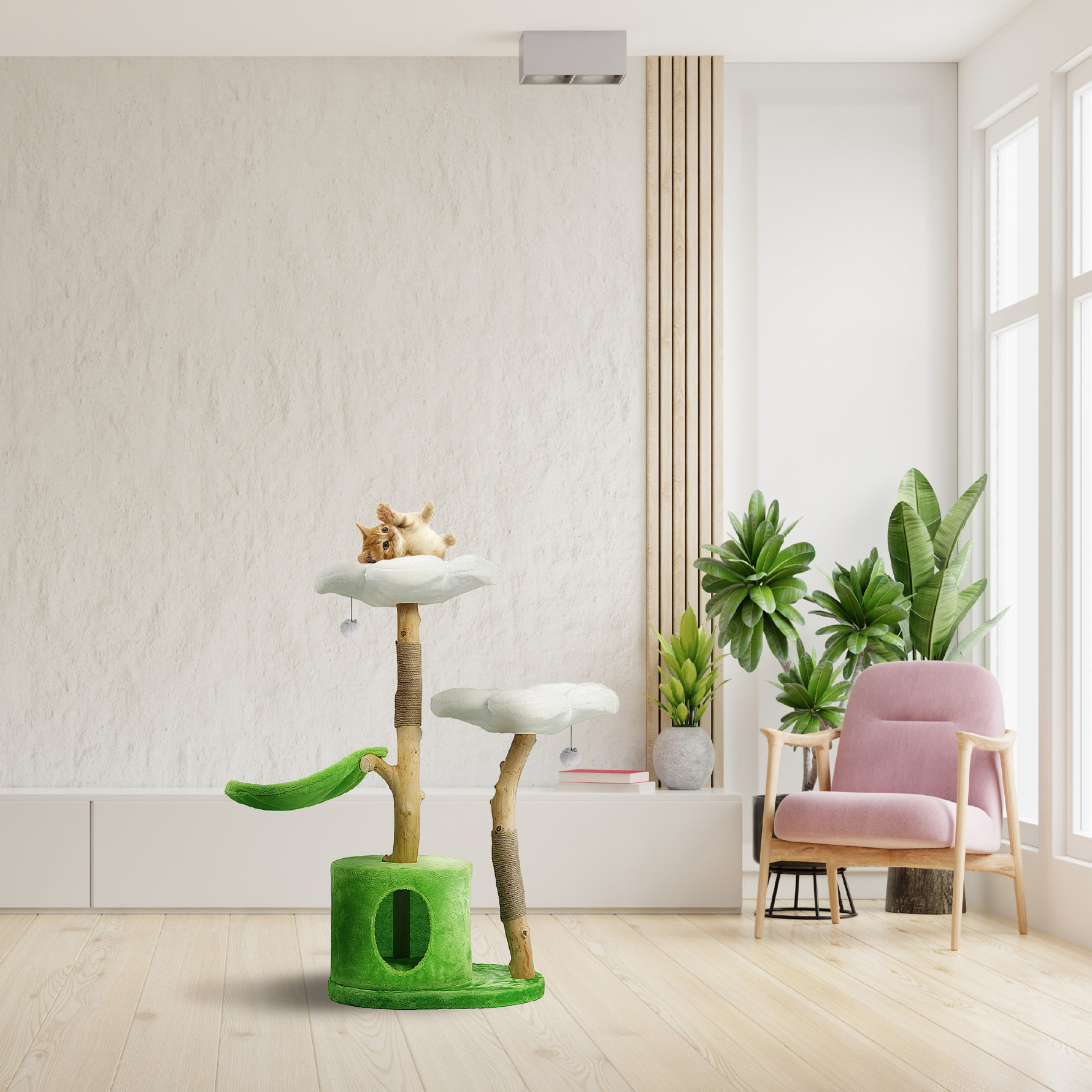 The Perfect Spots for Your Cat! 