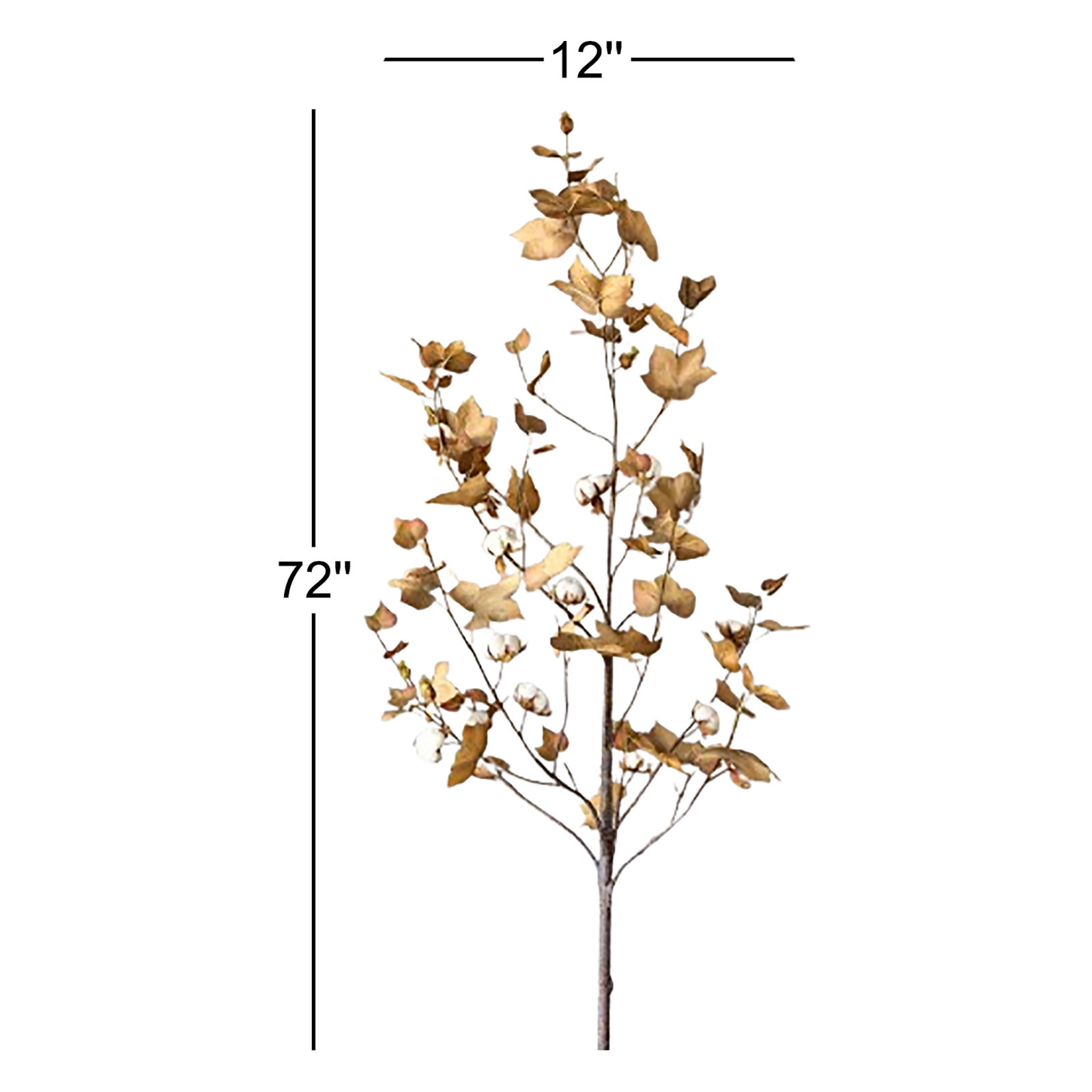 Harvest Cotton Plant