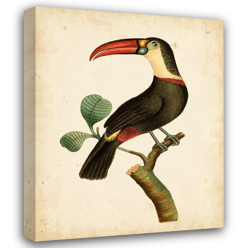 «Bay Nodder» par Frederick P., œuvre d'art sur toile tendue par Bay Isle Home, H 18 po x l 15 po